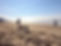 Fort Funston San Francisco Beach.jpg